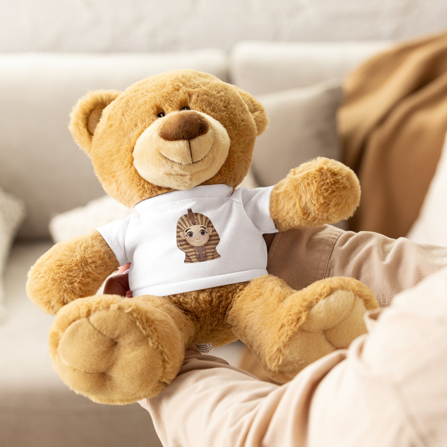 Teddy bear with a t-shirt - Baby Sphinx Teddy Bear Refine Zone   