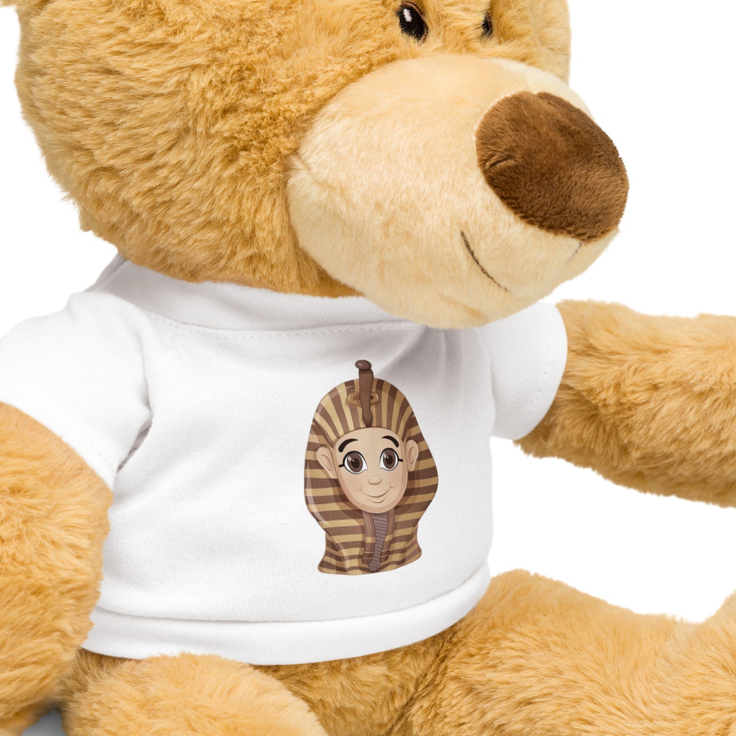 Teddy bear with a t-shirt - Baby Sphinx Teddy Bear Refine Zone   